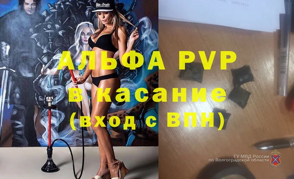 стаф Алексин